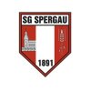 SG Spergau Handball