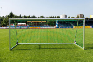 mobiles Jugend Fußballtor Eco 5 x 2 m, untere Netztiefe 1,5 m, vollverschweißt, silber, inkl.Transportrollen
