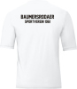 Baumersrodaer SV Jako Trikot Team