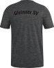 Gleinaer SV Jako T-Shirt Premium