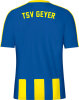 TSV Geyer Jako Trikot Santos