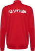 SG Spergau Handball Hummel Polyesteranzug Authentic