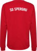 SG Spergau Handball Hummel Sweatshirt Authentic