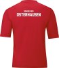 SpVgg Osterhausen Jako Trikot Team