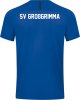 SV Großgrimma Jako Trikot Challenge