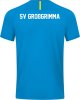 SV Großgrimma Jako Trikot Challenge