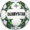 Derbystar Brillant APS v22 15er Ballpaket