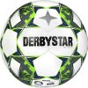 Derbystar Brillant TT v22 10er Ballpaket