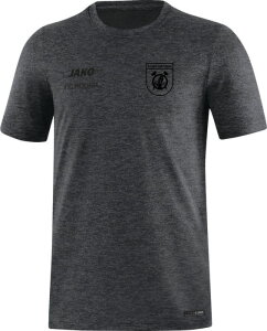 SV Schwarz-Gelb Deuben Jako T-Shirt Premium