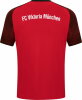 FC Viktoria München Jako T-Shirt Performance