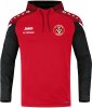 FC Viktoria München Jako Kapuzensweat Performance