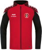 FC Viktoria München Jako Kapuzenjacke Performance