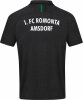 1.FC Romonta Amsdorf Jako Polo Challenge