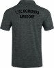 1.FC Romonta Amsdorf Jako Poloshirt Premium