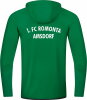 1.FC Romonta Amsdorf Jako Präsentationsanzug Challenge