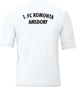 1.FC Romonta Amsdorf Jako Trikot Team