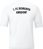 1.FC Romonta Amsdorf Jako Trikot Team