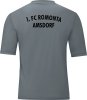 1.FC Romonta Amsdorf Jako Trikot Team