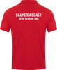 Baumersrodaer SV Jako Polo Power