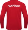 SG Spergau Jako Sweat Power