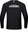 TSV Zscherben Jako Sweatshirt Challenge