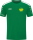 SV Kaiserpfalz Jako Trikot Power