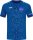 SV Großgräfendorf Jako Trikot Pixel