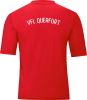 VfL Querfurt Jako Trikot Team