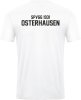 SpVgg Osterhausen Jako Trikot Power