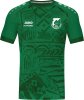 Gleinaer SV Jako Trikot Tropicana