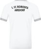 1.FC Romonta Amsdorf Jako Trikot Tropicana