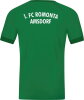 1.FC Romonta Amsdorf Jako Trikot Tropicana