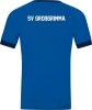 SV Großgrimma Jako Trikot Tropicana