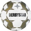 Derbystar Brillant APS v24 10er Ballpaket