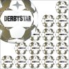 Derbystar Brillant APS v24 15er Ballpaket
