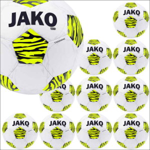 Jako Trainingsball Wild Gr. 5 10er Ballpaket