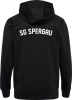 SG Spergau Handball Hummel Kapuzenjacke Go 2.0