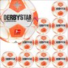 Derbystar Bundesliga Club Light v24 Gr.5 10er Ballpaket