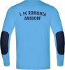 1.FC Romonta Amsdorf Jako TW-Trikot Power