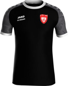 SV RW Weißenfels Jako Trikot Iconic