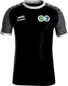Germania/Leissling Jako Trikot Iconic