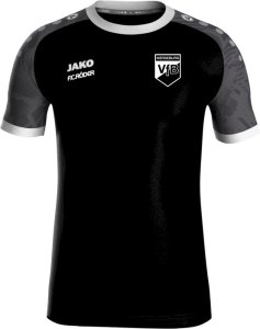 VfB Merseburg Jako Trikot Iconic