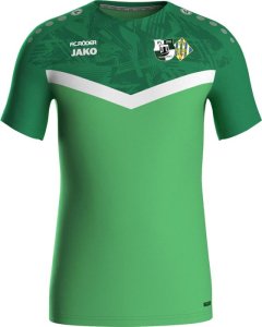 SpG Tannenberg/Geyer II Jako T-Shirt Iconic