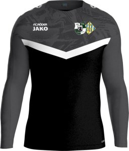 SpG Tannenberg/Geyer II Jako Sweat Iconic