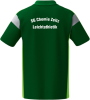 Chemie Zeitz Erima CELEBRATE 125 Poloshirt Function