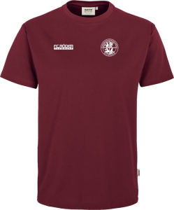 FW Förderverein Wolkenstein Hakro V-Shirt Mikralinar® 181 Damen