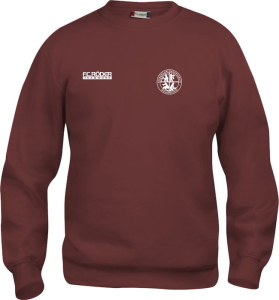 FW Förderverein Wolkenstein Clique Sweatshirt