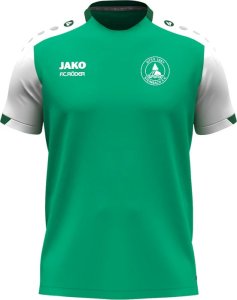 DTSV 1867 Steinbach Jako T-Shirt Dynamic