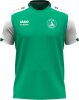 DTSV 1867 Steinbach Jako T-Shirt Dynamic