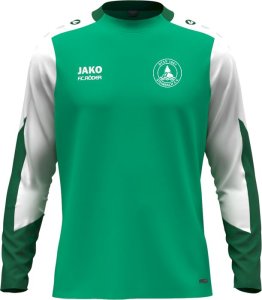 DTSV 1867 Steinbach Jako Longsleeve Dynamic